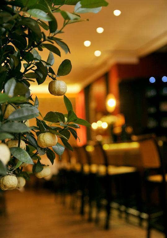 Altstadthotel Am Theater Cottbus Bagian luar foto